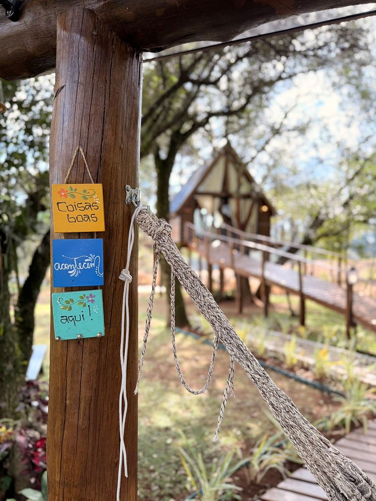 Casa na Árvore em Guarapuava