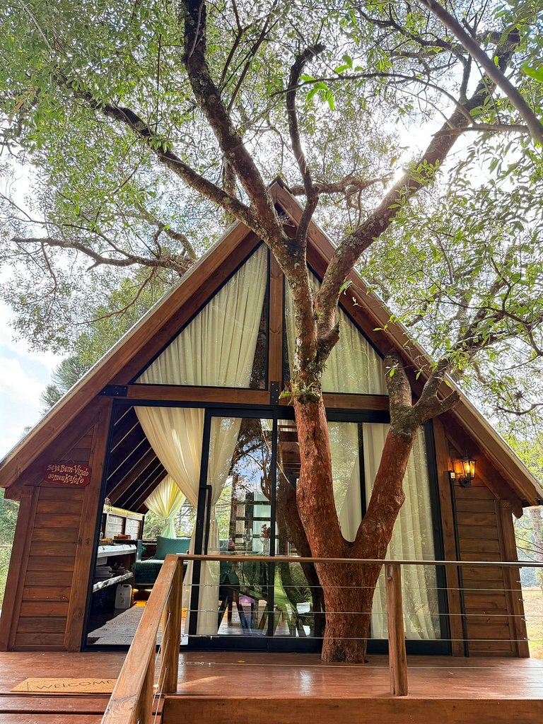 Casa na Árvore em Guarapuava