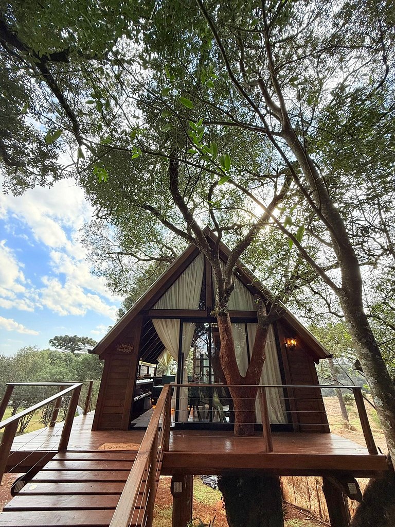 Casa na Árvore em Guarapuava