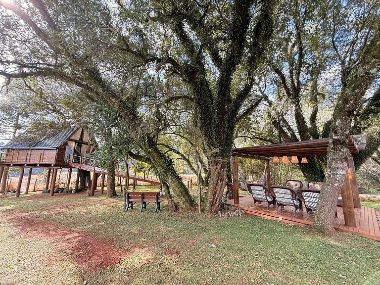 Casa na Árvore em Guarapuava