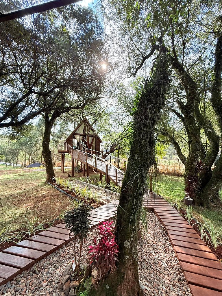 Casa na Árvore em Guarapuava
